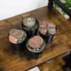 image:imageAltman Plants XL Giant Living Stones Succulents 8PK Lithops Live Plants amp Real Succulents Pet Safe Plants amp Live Succulent Plants Pet Friendly Plants Live Plants in 25 Pots with Succulent SoilGiant Lithops