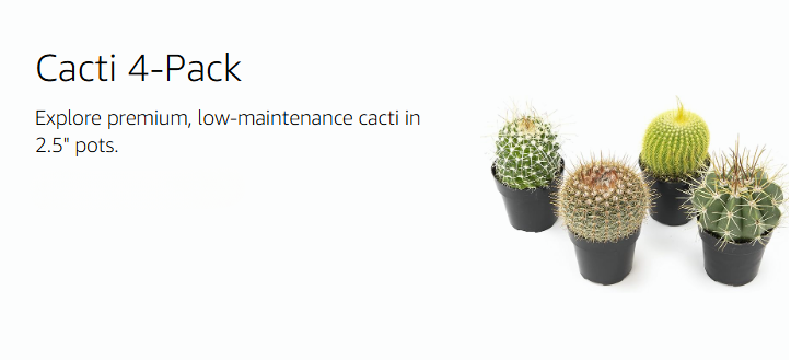 Altman Plants – Beautiful Succulents & Easy-Care Houseplants