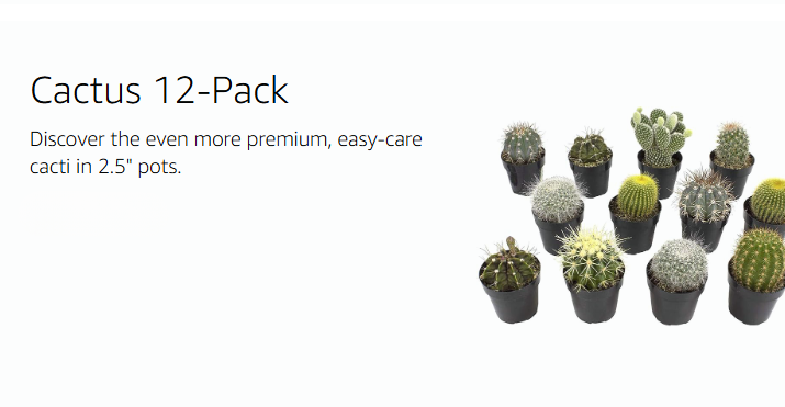 Altman Plants – Beautiful Succulents & Easy-Care Houseplants