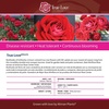 image:imageAltman Plants True Bloom Red Rose Bush True Love Live Rose Plant Plant Lover Gifts Live Outdoor Plants Garden Rose Bushes Ready to Plant Roses Live Plants Outdoor Plants in 6 qt Nursery Pot