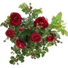 image:imageAltman Plants True Bloom Red Rose Bush True Spirit Live Rose Plant Plant Lover Gifts Live Outdoor Plants Garden Rose Bushes Ready to Plant Roses Live Plants Outdoor Plants in 8 qt Nursery Pot