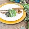 image:imageAltman Plants Deluxe Live Succulents 12 Pack 6 Unique Varieties in Sets of 2 Assorted Colors amp Shapes Easy Plant Care 2 in Pots50PACK