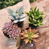 image:imageAltman Plants Live Succulents Plants Live Houseplants 4PK Succulent Plant Lover Gifts Live Indoor Plants in Potting Soil Live Plants Indoor Cactus Plants Live Succulent Plants Live House Plants25