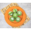 image:imageAltman Plants Succulents Plants Live 2 Sempervivum Cobweb Buttons 6Pack Outdoor Garden Decor Succulent Plant Kit Live Succulents Plants Terrarium Live Plants Indoor Plants Live Houseplants