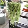image:imageString of Raindrops Succulent Plant Decor Hanging Basket Real Succulents amp Houseplants for Home or Office Senecio Curio Unique House Plants