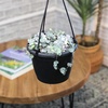 image:imageVariegated String of Hearts Hanging Basket Pet Friendly Live Indoor Plant Ceropegia linearis Woodii Real Houseplant NonToxic Houseplants for Home or Office
