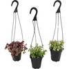 image:imageAltman Plants Hanging Succulents 3PK in 35 Hanging Baskets for Plants String of Pearls Calico Kitten Crassus Portulacaria Afra Trailing Live Succulents Plants amp House Plants in Succulent Soil