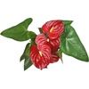 image:imageAltman Plants Red Anthurium Live Plant Decor in 4 Inch White Plastic Plant Pot Easy to Grow Desk Plant Easy Plant Gift Decorative Indoor Plant Live Anthuriums Live Plants Grown in Potting Soil Mix6 White Pot