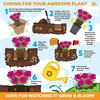 image:imageAltman Plants Red Chrysanthemum Plant in 1 Gal Grower Pot Garden Mum Flowering Plants Outdoor Plants Live Mums Real Outdoor Plants Patio or Porch Flowers for Fall Easy Care