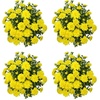 image:imageAltman Plants Yellow Chrysanthemum Plants Live Mums Plant 4PK in 1 Quart Pots Outside Garden Flowers for Fall Outdoor Flowering Hardy Mum Outdoor Plant Pack Easy Care