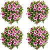 image:imageAltman Plants Pink Chrysanthemum Plants Live Mums Plant 4PK in 1 Quart Pots Outside Garden Flowers for Fall Outdoor Flowering Hardy Mum Outdoor Plant Pack Easy Care