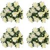 image:imageAltman Plants White Chrysanthemum Plants Live Mums Plant 4PK in 1 Quart Pots Outside Garden Flowers for Fall Outdoor Flowering Hardy Mum Outdoor Plant Pack Easy Care