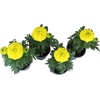 image:imageAfrican Yellow Marigold Flowers 4PK Garden Annuals for Spring Gardening Live Outdoor Plants 4 Grower Pots Multipack